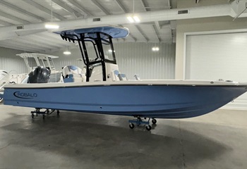 2025 Robalo 246 Cayman Steel Blue  Boat